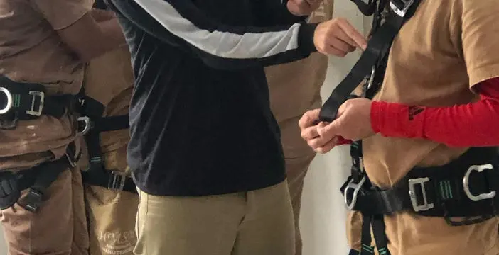 Treinamentos e Cursos